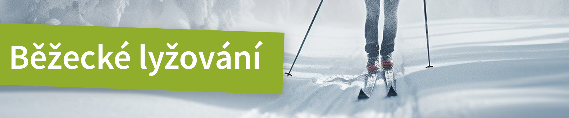 Banner_kategorie-bezecke-lyzovani