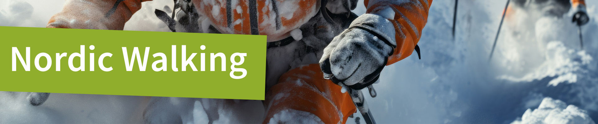 nordic-walking-banner